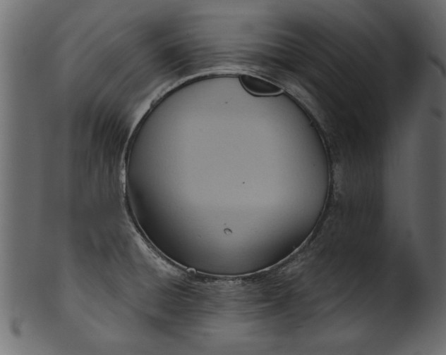 X0000101211428200807181408