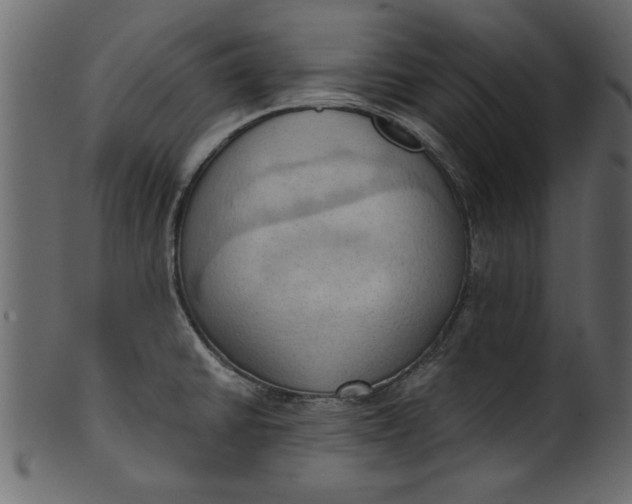 X0000101211430200807181408