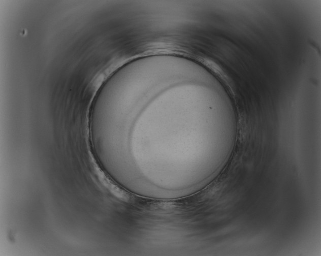 X0000101211431200807181408