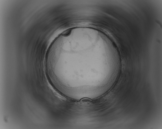 X0000101211432200807181408