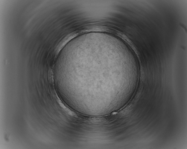 X0000101211433200807181408