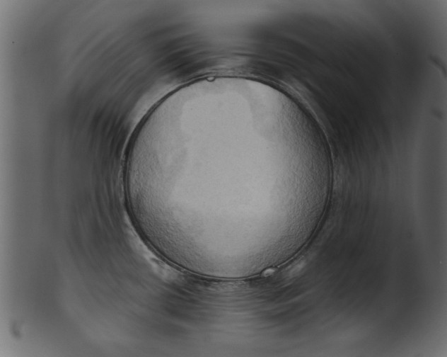 X0000101211434200807181408