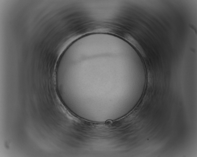 X0000101211436200807181408