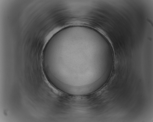 X0000101211437200807181408