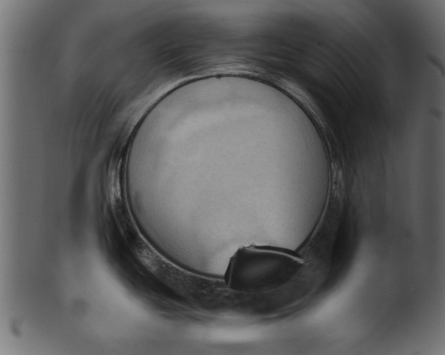 X0000101211439200807181408