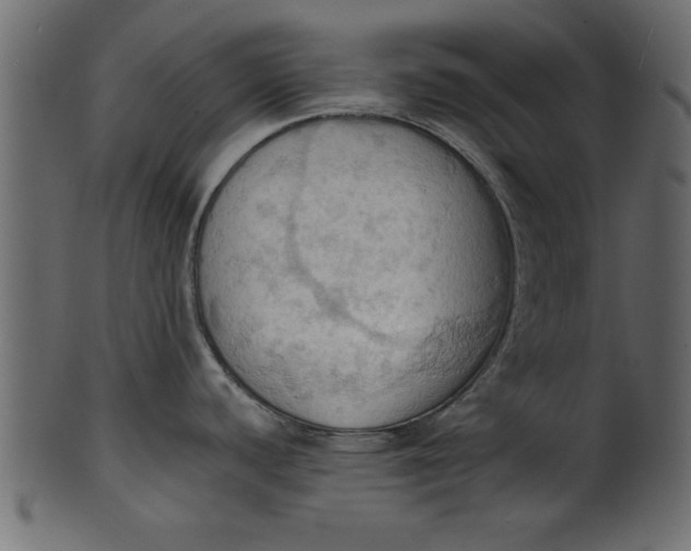 X0000101211440200807181408