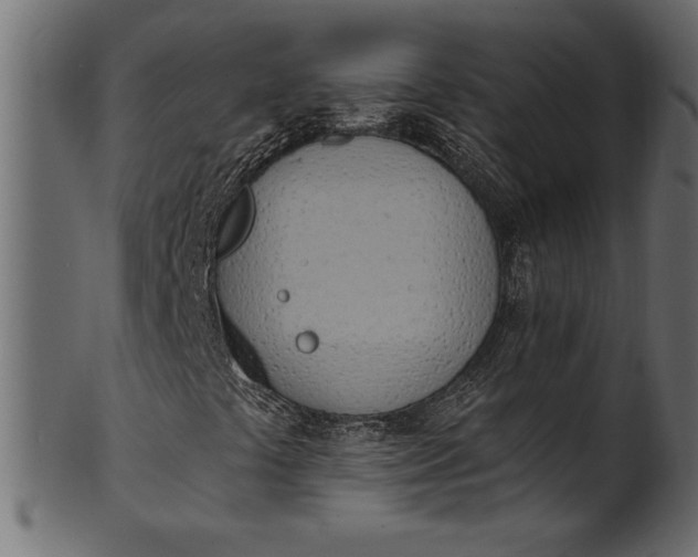 X0000101211441200807181407