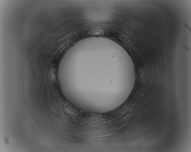 X0000101211442200807181407