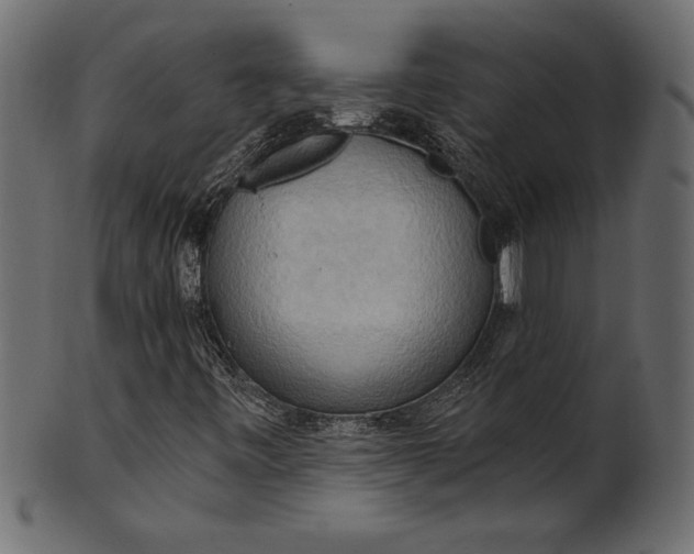 X0000101211443200807181407