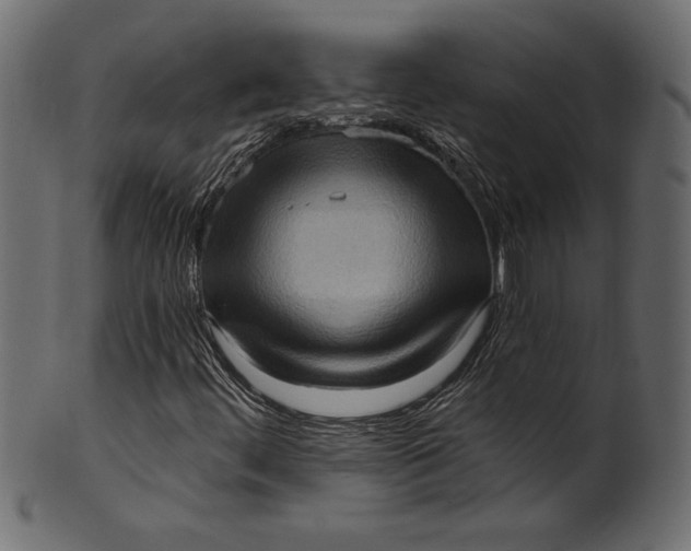 X0000101211444200807181407