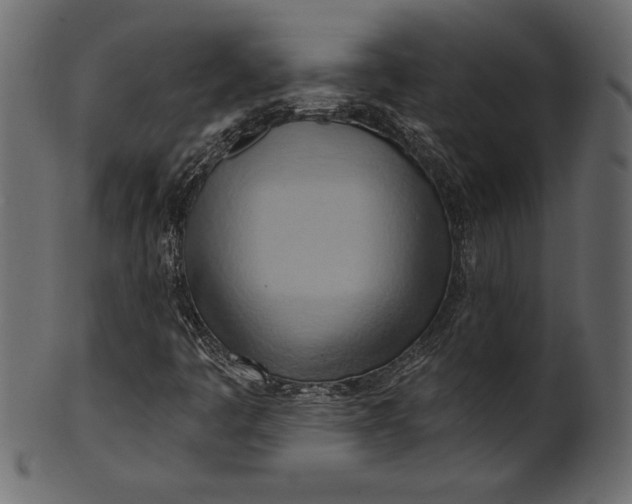 X0000101211445200807181407