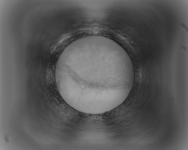 X0000101211446200807181407