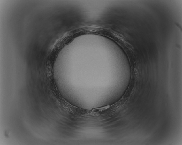 X0000101211447200807181407