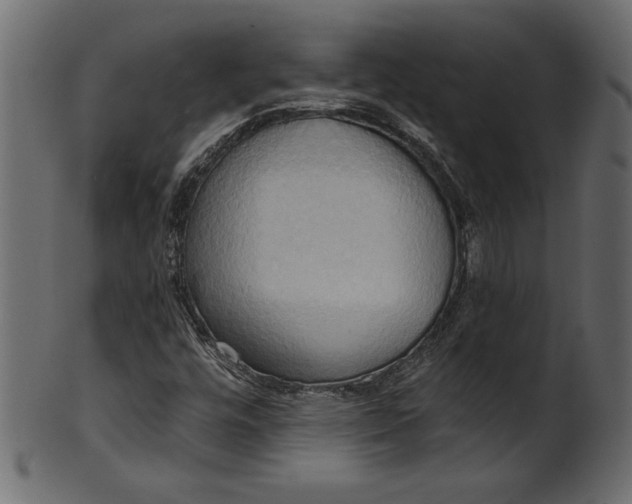 X0000101211448200807181407