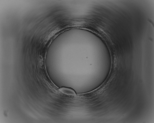 X0000101211449200807181407