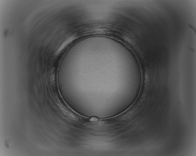 X0000101211450200807181407