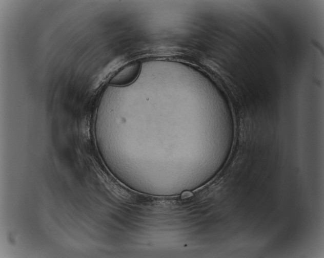 X0000101211451200807181407