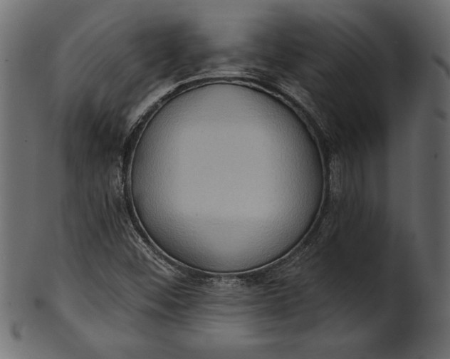 X0000101211452200807181407