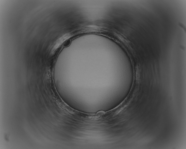 X0000101211453200807181407