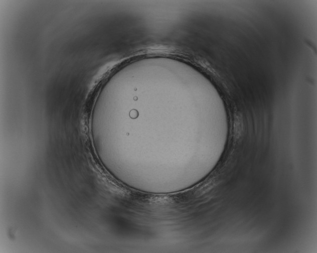 X0000101211454200807181407