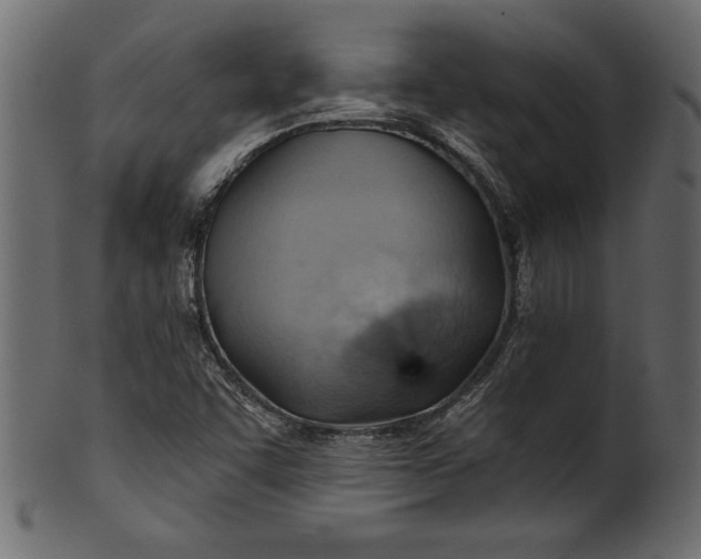 X0000101211455200807181407