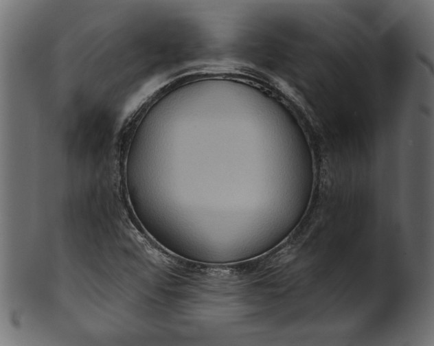 X0000101211456200807181407