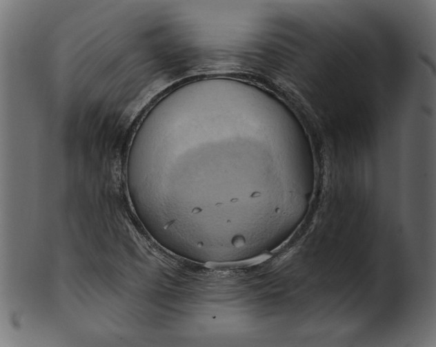 X0000101211457200807181407