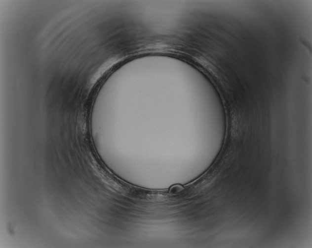 X0000101211458200807181407