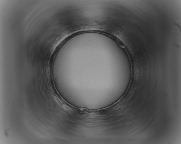 X0000101211460200807181407