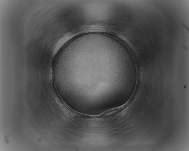 X0000101211461200807181407