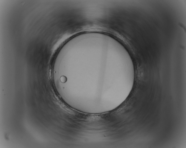 X0000101211462200807181407