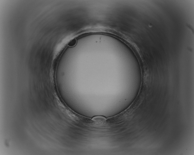 X0000101211464200807181407