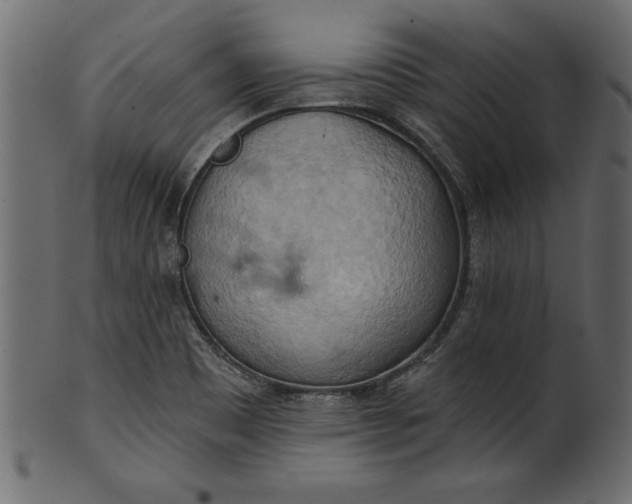 X0000101211465200807181407