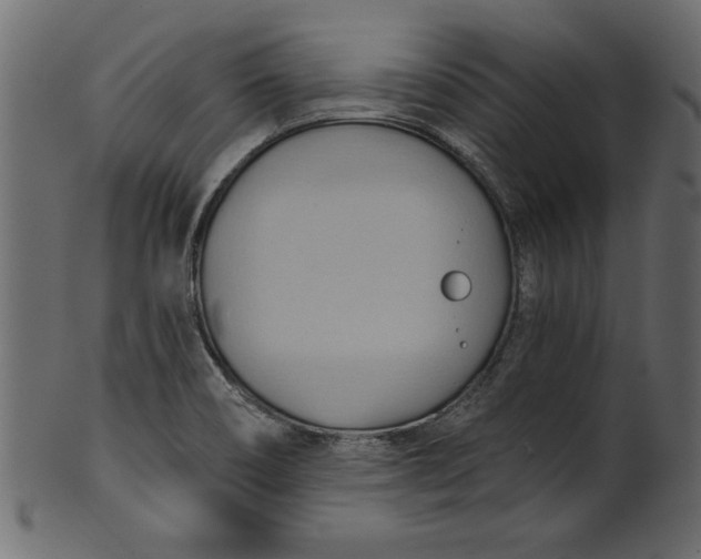 X0000101211466200807181407