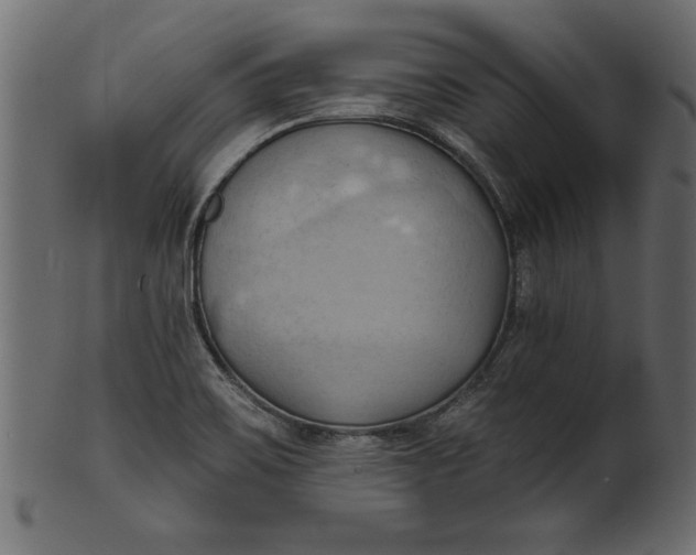 X0000101211467200807181407