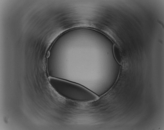 X0000101211468200807181407