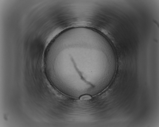 X0000101211469200807181407