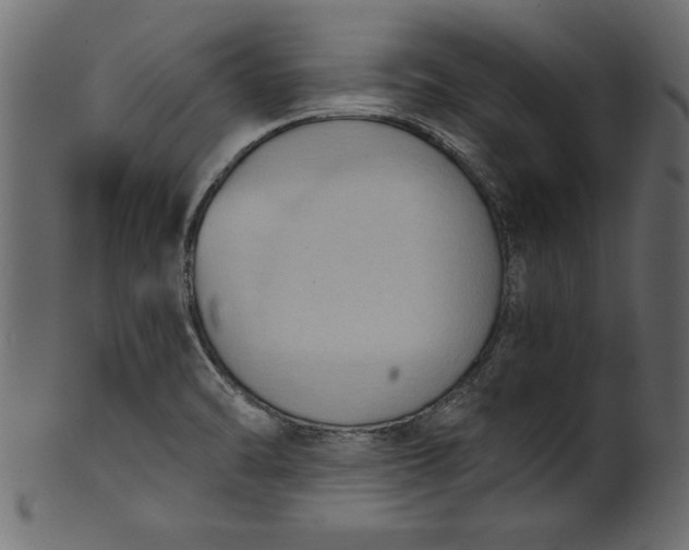 X0000101211470200807181407