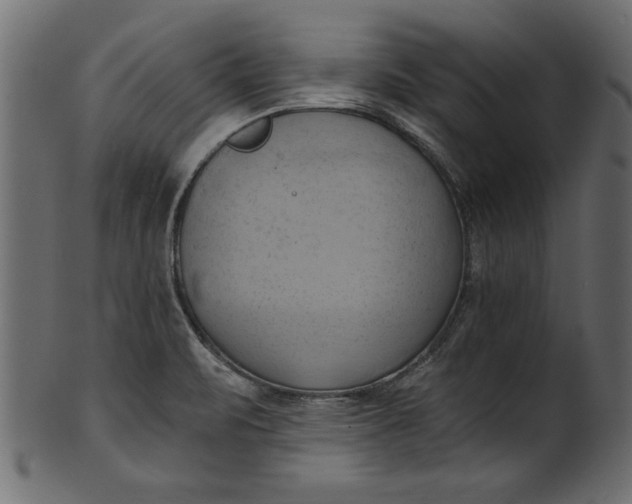 X0000101211471200807181407