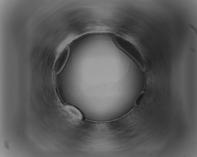 X0000101211472200807181407