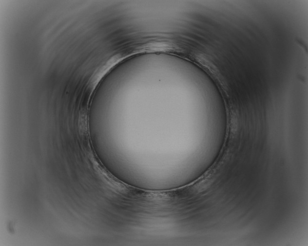 X0000101211473200807181407