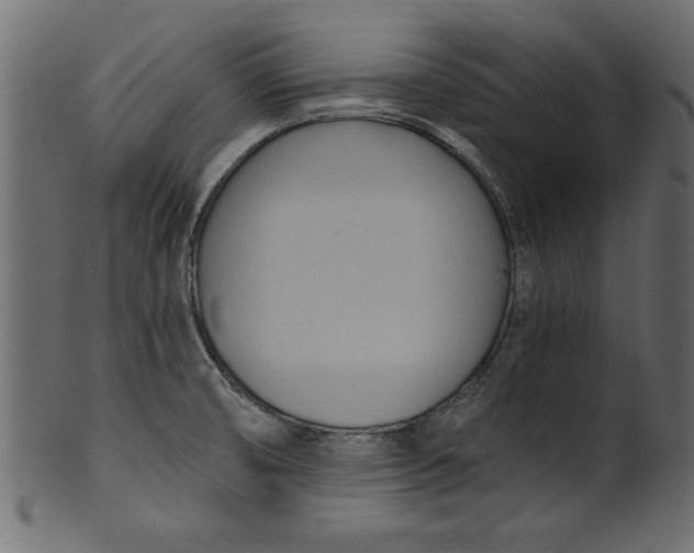 X0000101211474200807181407