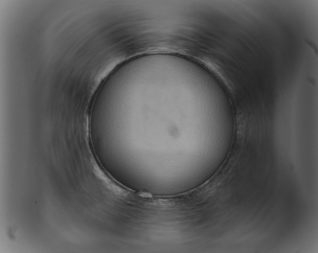 X0000101211476200807181407