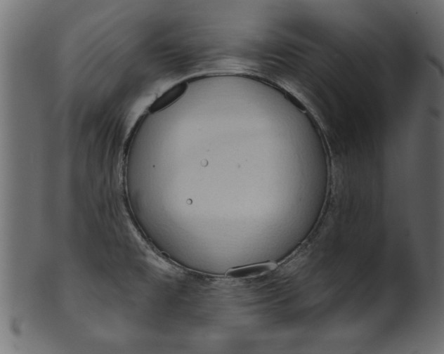 X0000101211477200807181407