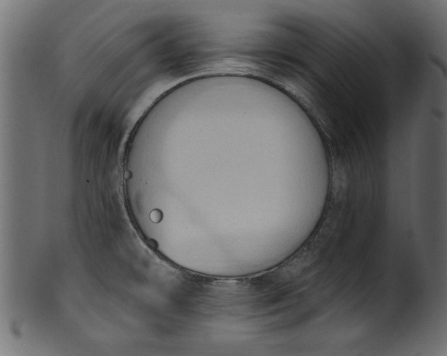 X0000101211478200807181407