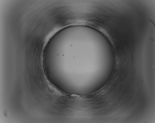 X0000101211480200807181407