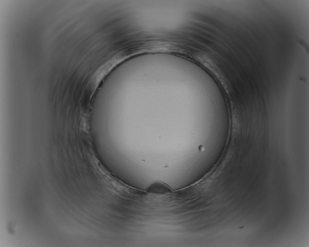 X0000101211481200807181407