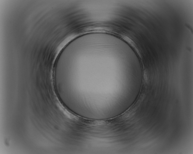 X0000101211482200807181407