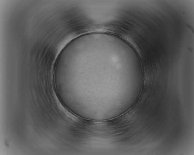 X0000101211483200807181407