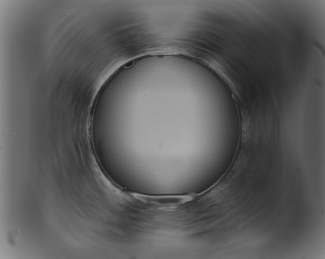 X0000101211484200807181407